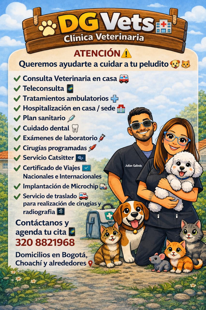 DG Vets Clínica Veterinaria