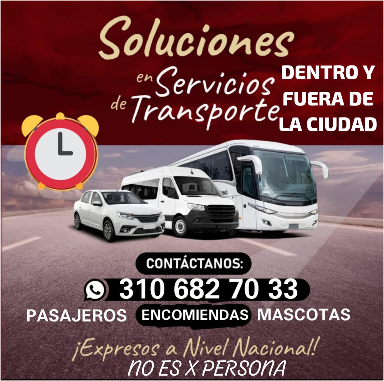 Soluciones en Servicios de Transporte
