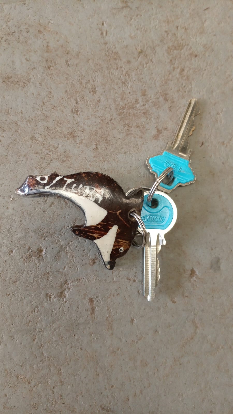 Llaves encontradas con llavero de Tucán