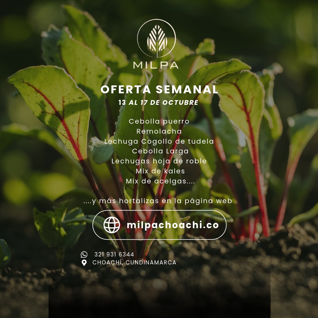Oferta semanal MILPA