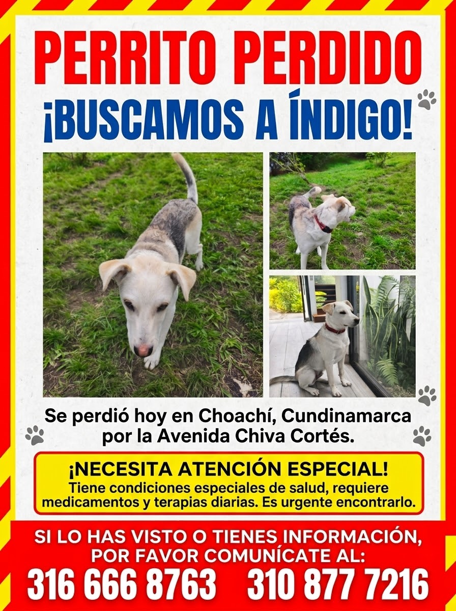 Índigo